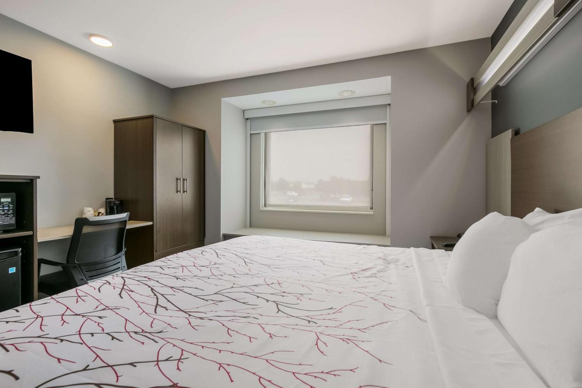 Surestay Plus Hotel By Best Western Sevierville Zewnętrze zdjęcie
